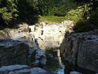 �㏼�h�i�ؑ]�H�j�E�Q�o�̏�