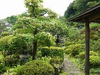 �����h�i�ؑ]�H�j�E�����Ǝ�����