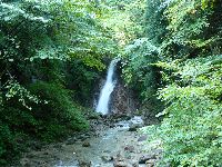 ����āi�ؑ]�H�j�E�j�ꏗ��