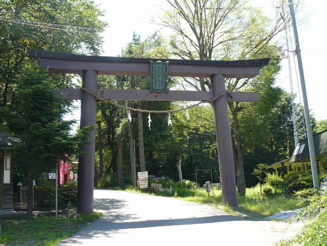 �����_��