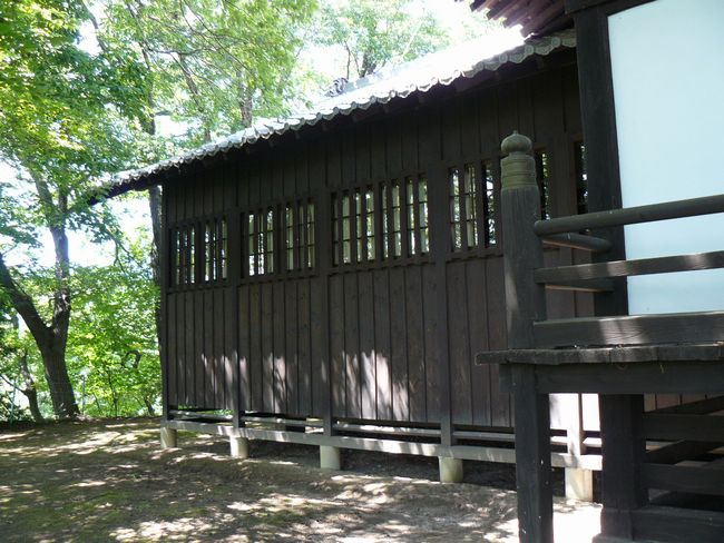 �����_��