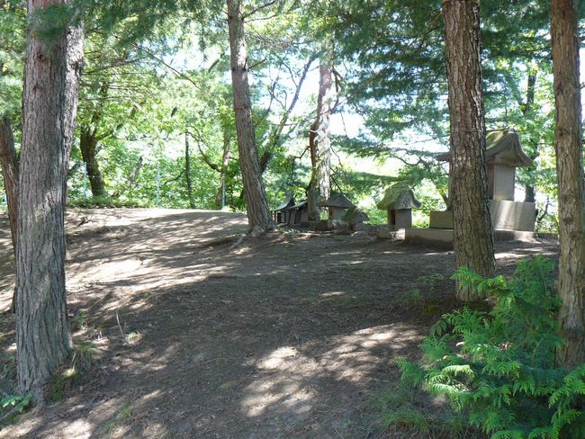 �����_��