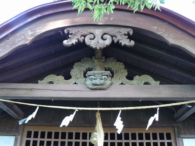 �����_��