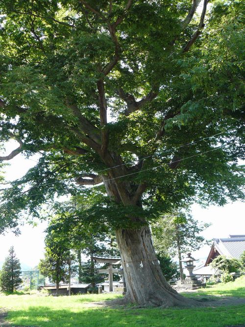 �����_��