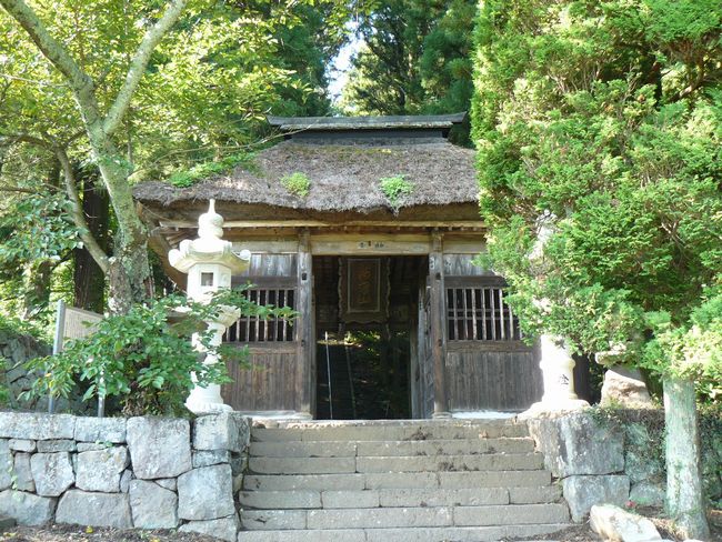 �^�y���F�m����