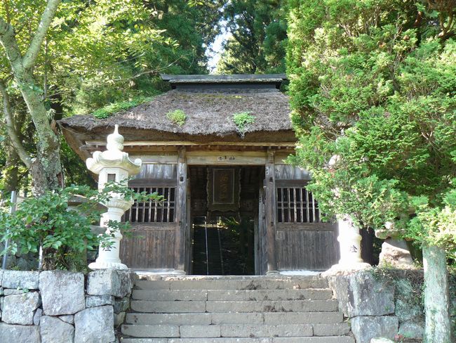 �^�y���F�m����