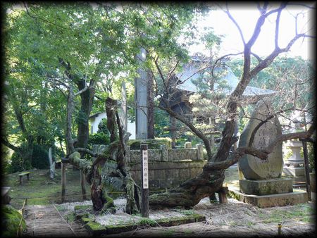 �������̋t���~