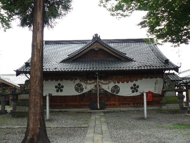 ���{�_��