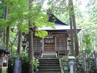 皆神神社を構成している熊野出速雄神社本殿と苔生した石垣と石段、石燈篭