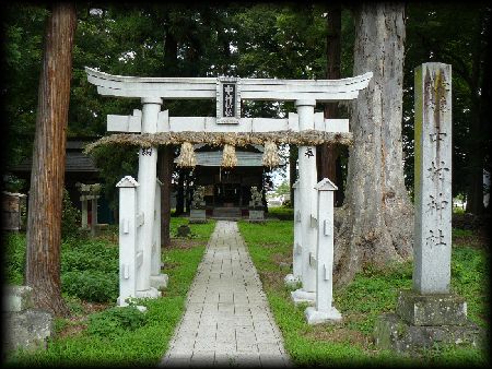 �����_��