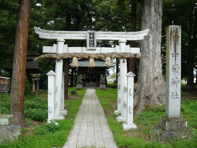 �����_��