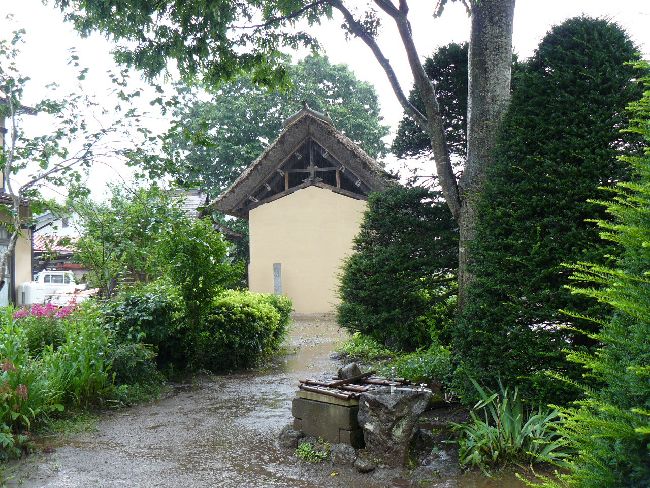 �M�Z���F���шꒃ����