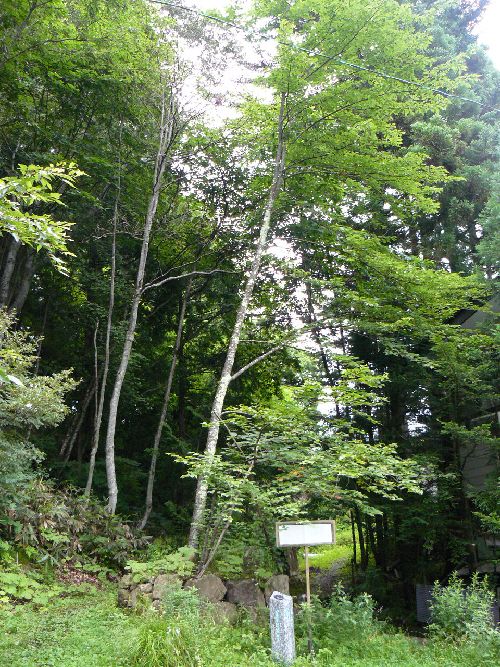 �ˉB�_�ЉΔV��q�ЁE���s��