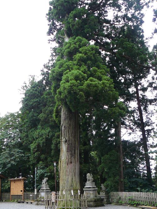 �ˉB�_�В��ЁE��_��