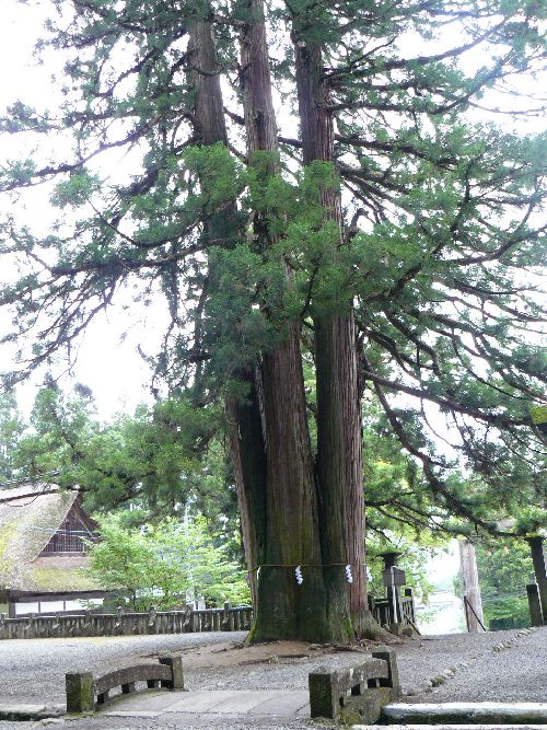 �ˉB�_�В��ЁE�O�{��