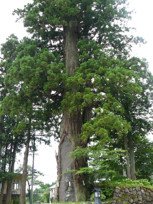 �ˉB�_�В��ЁE�O�{��