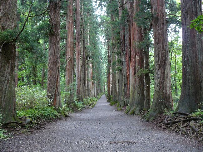 �ˉB�_�Љ��ЁE�Q��