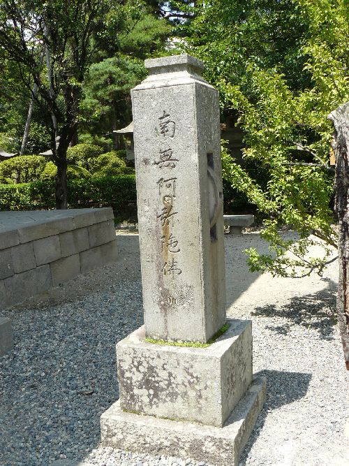 �P�����։���