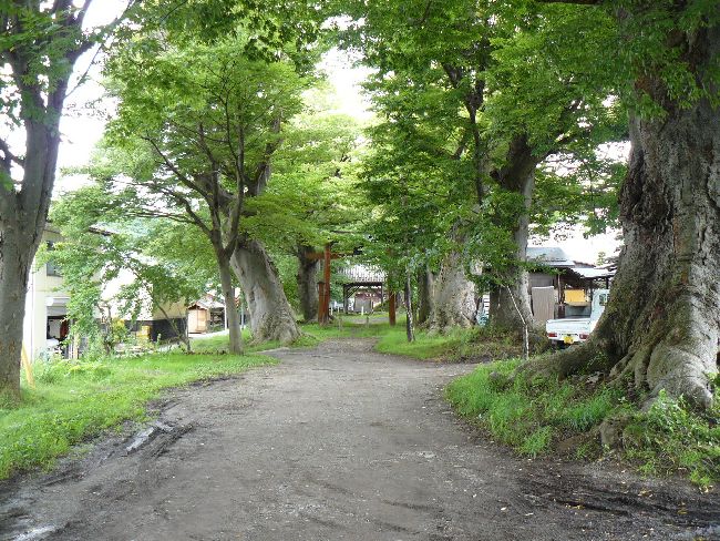 ���������_��