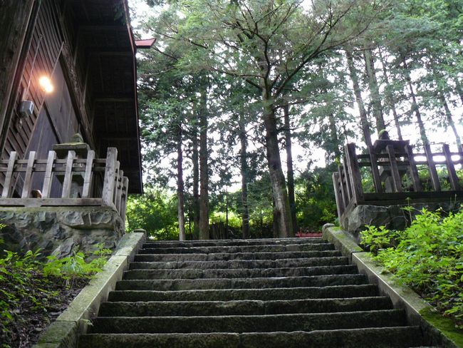 �����_��