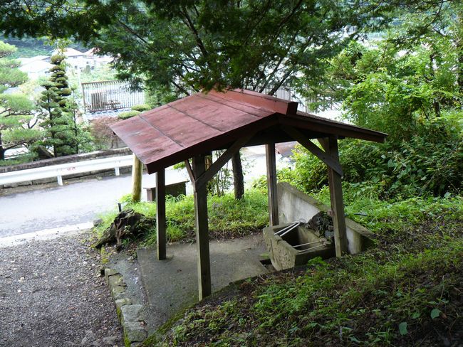 �����_��