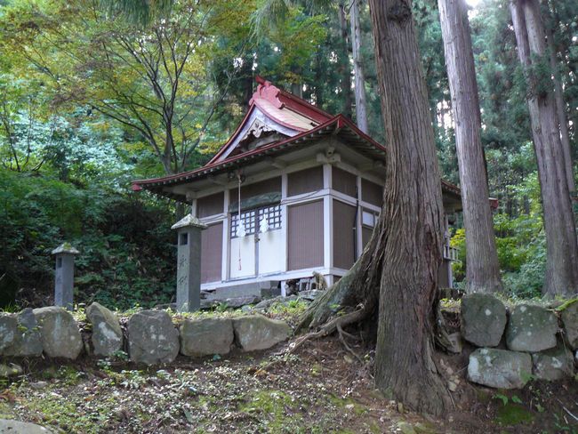 �����_��