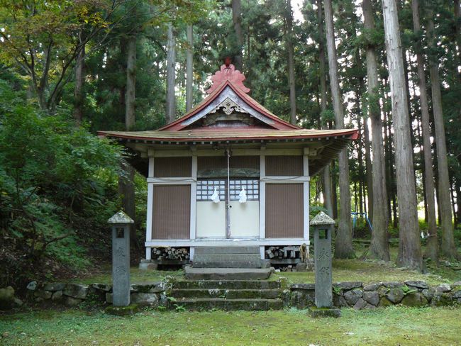 �����_��