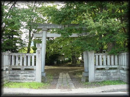 �����_��