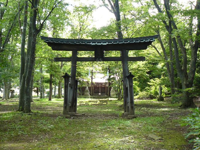 �����_�ЁE�Q��