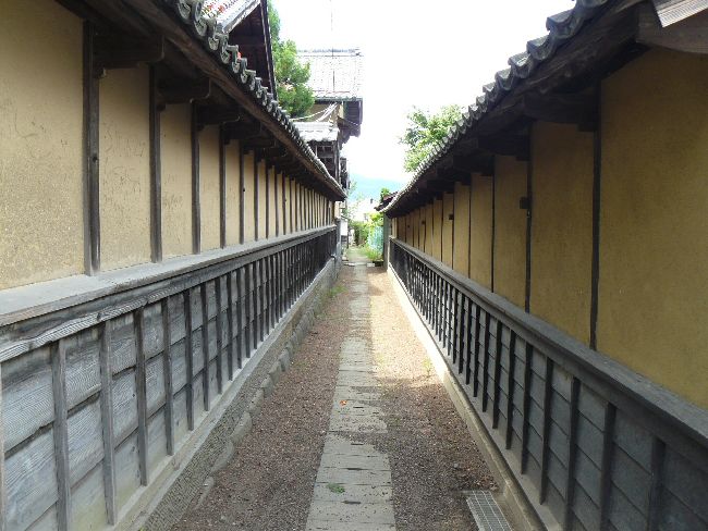 ���z�{��