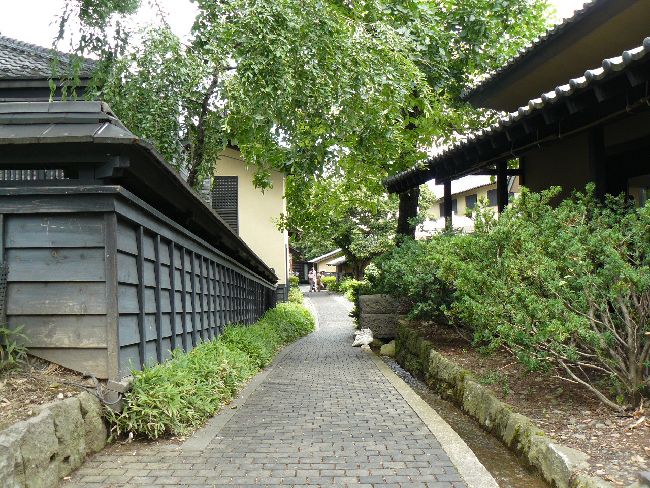 �䂤�R�O�E�I�̏��a