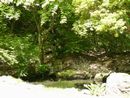 仁科盛遠と縁のある霊松寺境内に作庭された庭園