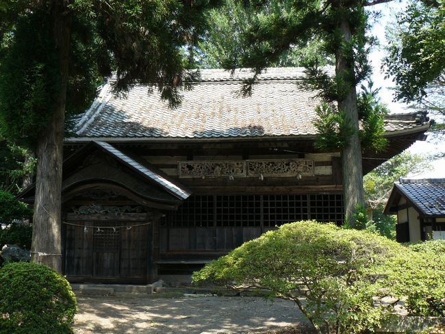 �����_��