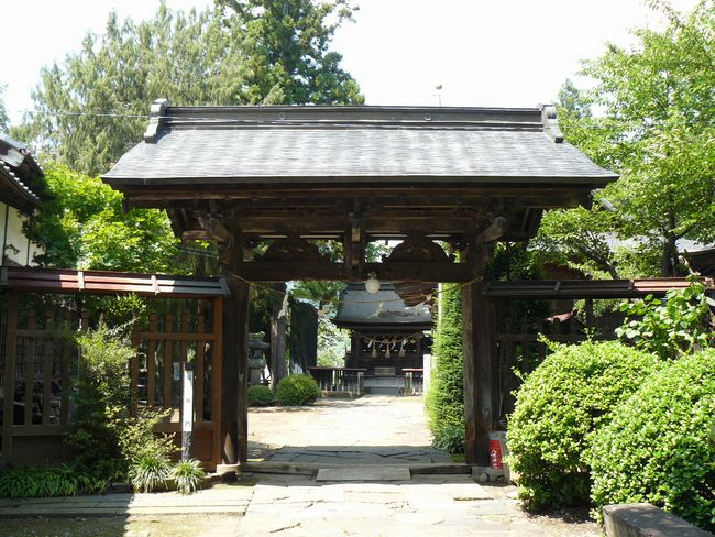 �����_��