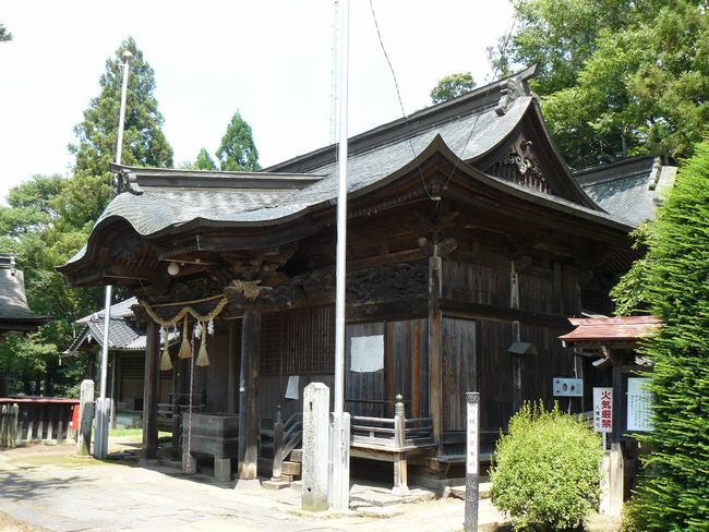 �����_��