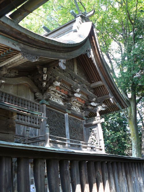 �����_��