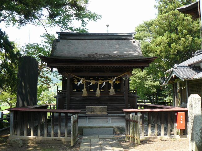 �����_��