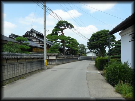 ���v�s�������F������