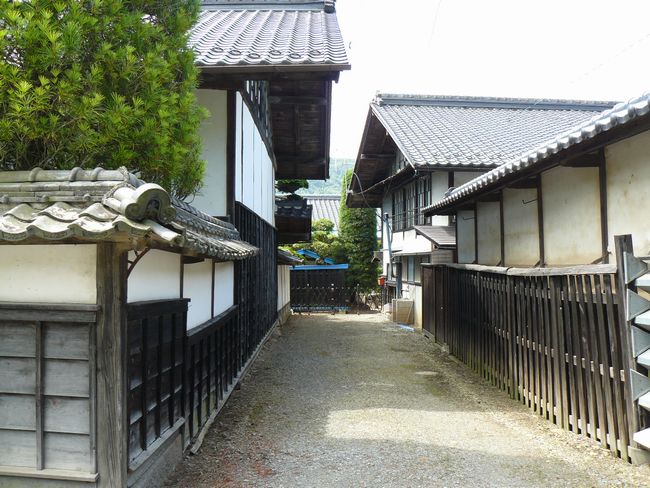 ���v�s������