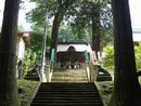 新海三社神社拝殿へと続く苔生した参道