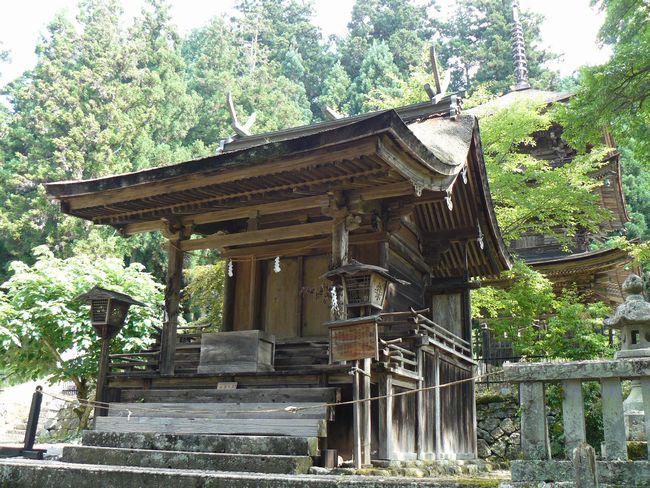 �V�C�O�А_�ЁE���{��