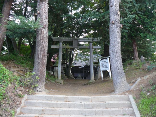 �⑺�c��i��̏�j