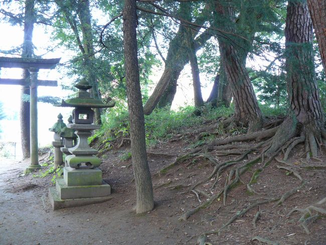 �⑺�c��i��̏�j