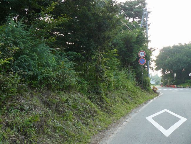 �⑺�c��i��̏�j