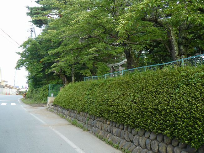 �⑺�c��i��̏�j