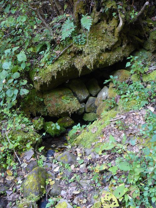 ����ς�����