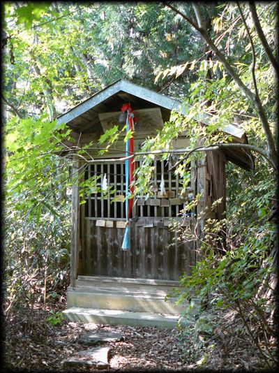 ���̓V���{