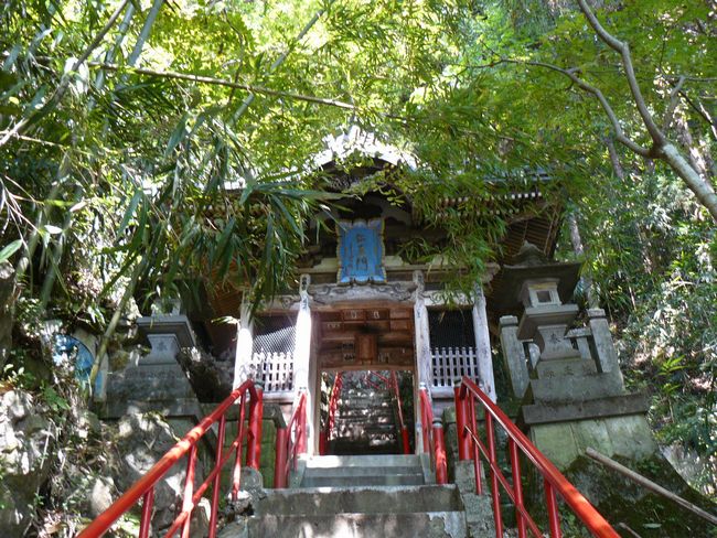 ���c�s����