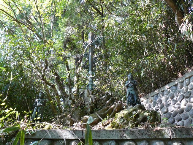 ���c�s����