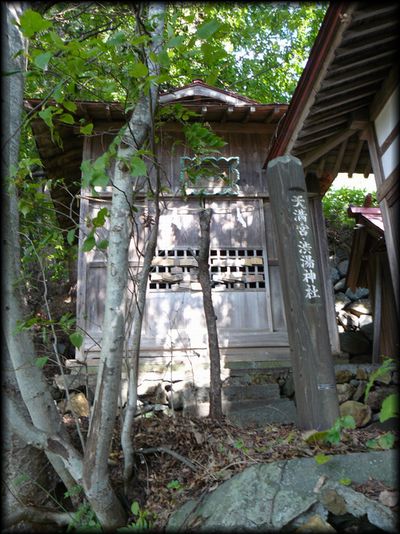 ���̓V���{